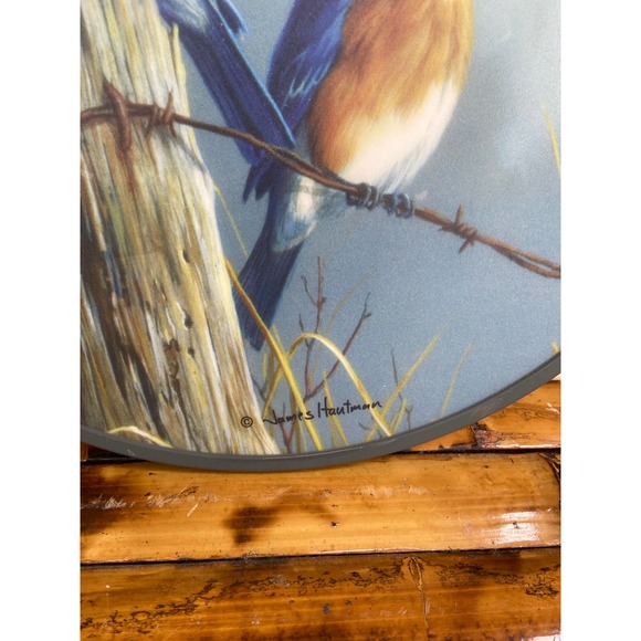 Bluebird Round Plastic Cutting Board  James Hautman Wall Hanging Cheese Platter - Picture 2 of 8
